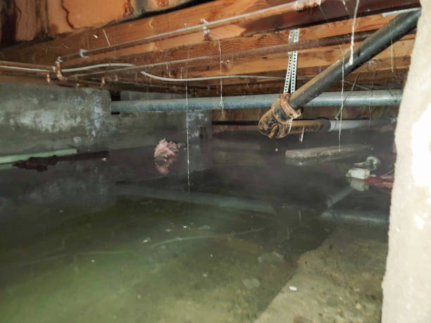 Best Sewage cleanup and water damage restoration  in Kirbyville, TX