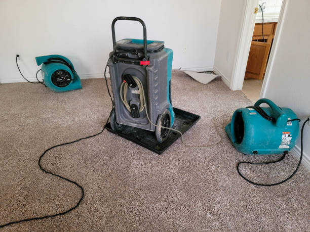 Best 24-hour water damage restoration  in Kirbyville, TX