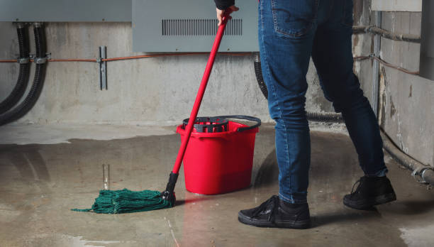Best 24/7 water damage repair  in Kirbyville, TX