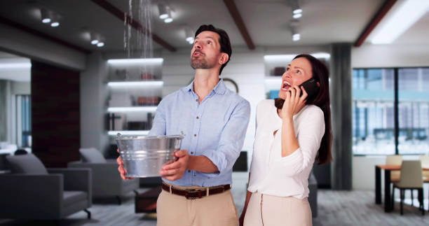 Best Flood damage cleanup  in Kirbyville, TX
