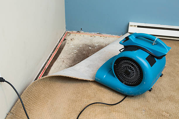 Best Flood restoration services  in Kirbyville, TX